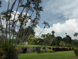 Karibische Gartenkultur