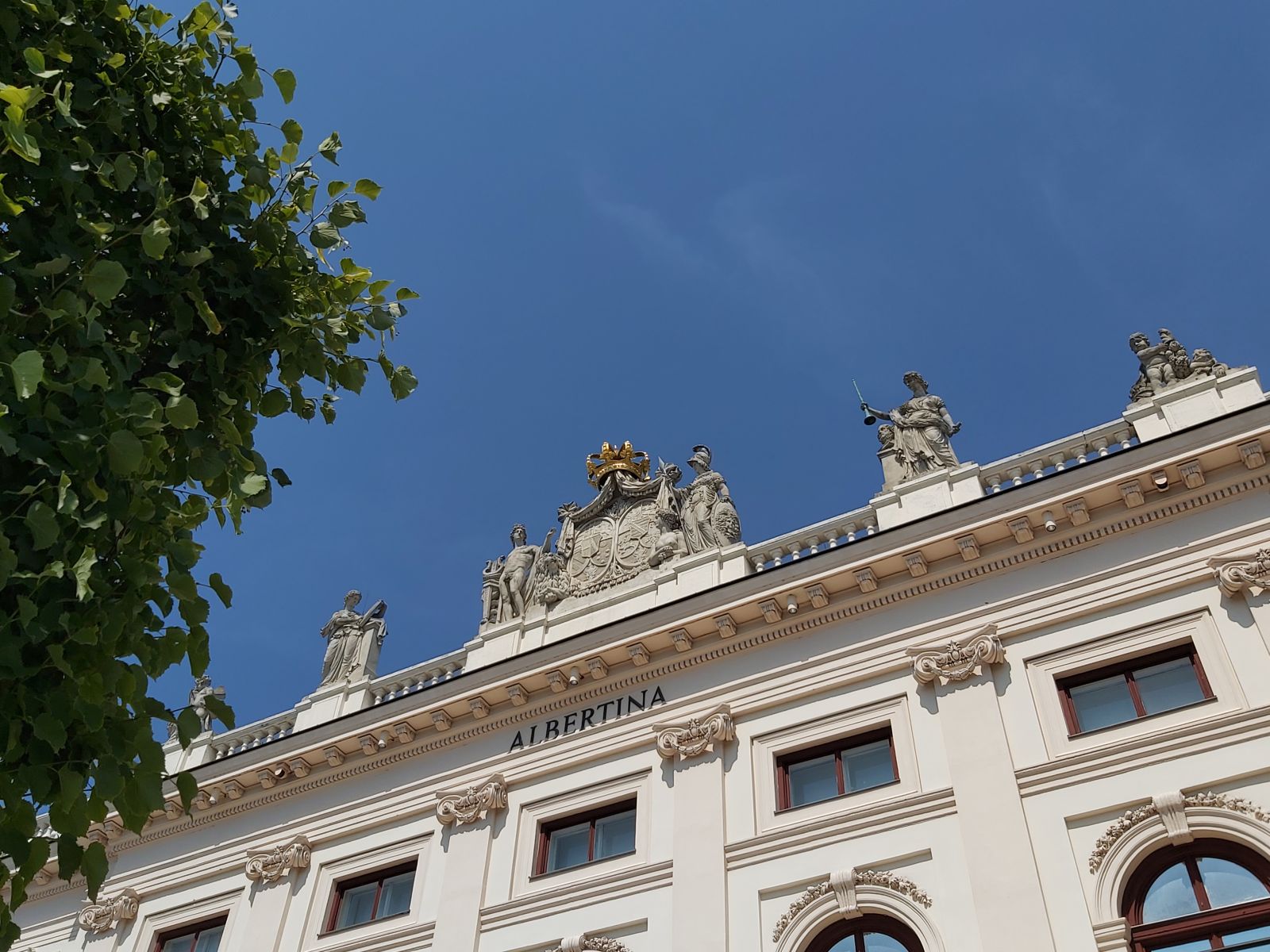 Albertina-Weiß unter strahlend blauem Himmel