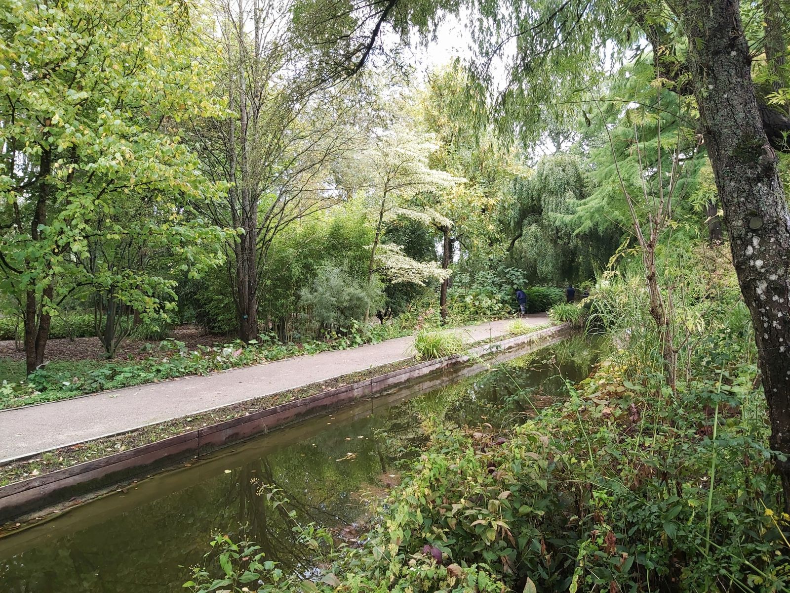 Feuchtbiotop: im Jardin du Marais