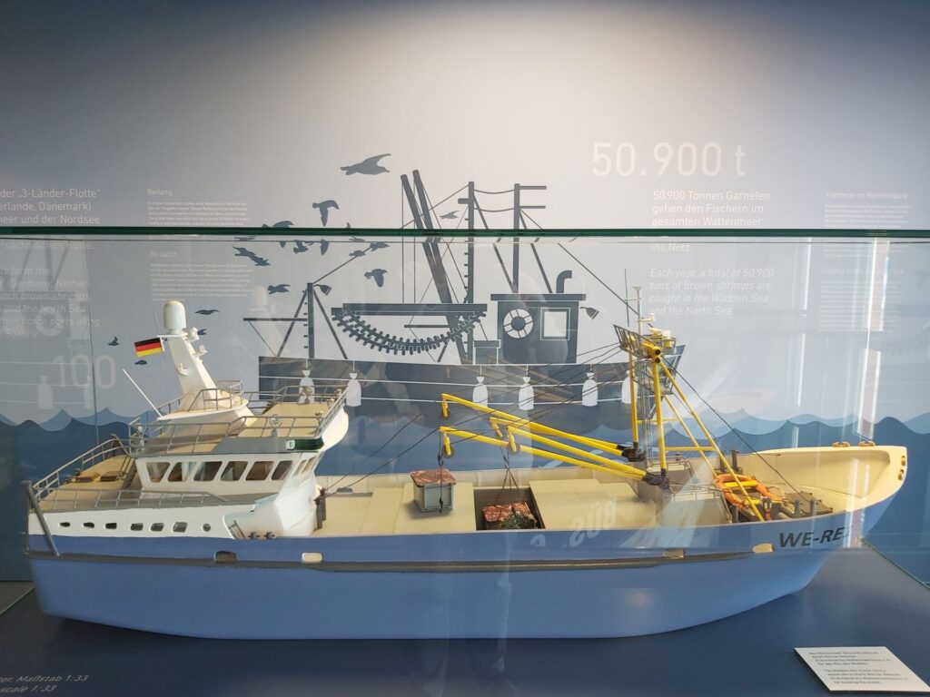 Fischerei in der Nordsee, damals und heute