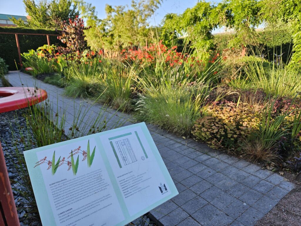 Im Klimagarten des Slottsträdgarden, Malmö