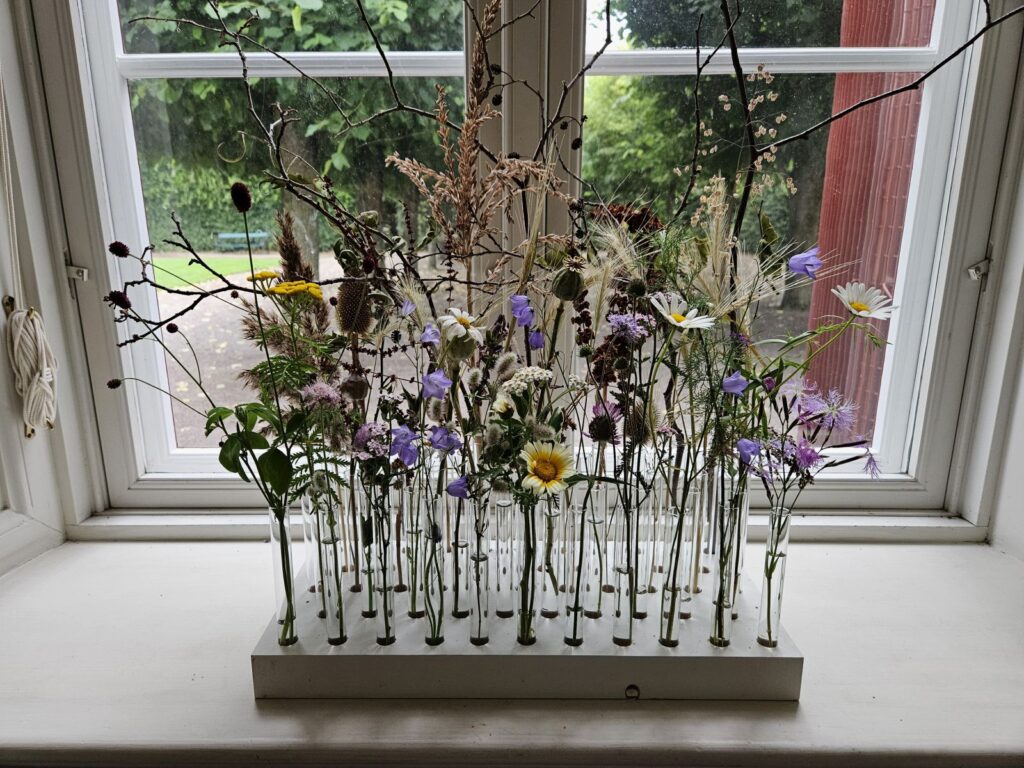 Eine Blumenwiese im Fenster - Freilichtmuseum Fredriksdal